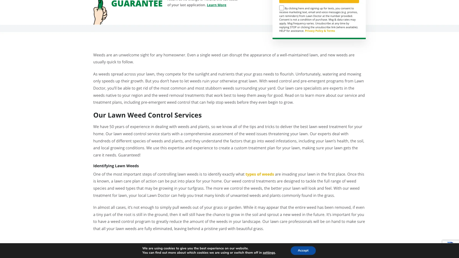 Lawn Doctor weed control page showing the service content layout with detailed weed treatment information and the clean page structure